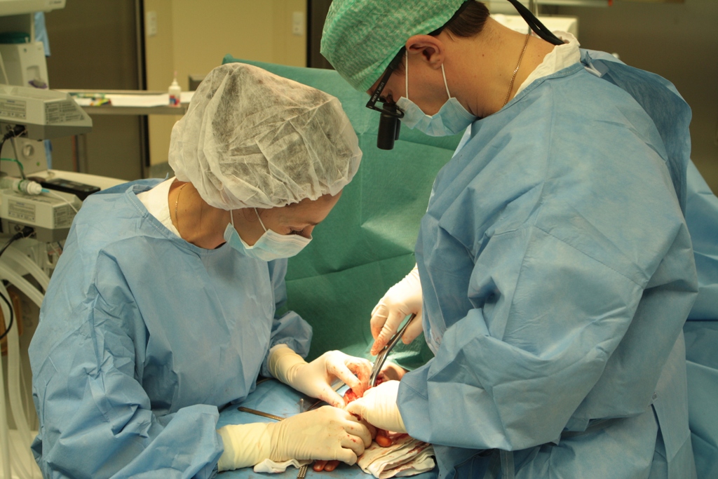 Барнаул суставы операция. Травматологические операции. Травматологическая хирургия. Операции применяемые в травматологии и ортопедии.